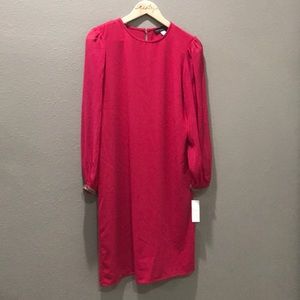 🎉 Simply Styled Dress with Chiffon Sleeves